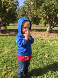 How 'bout them apples?